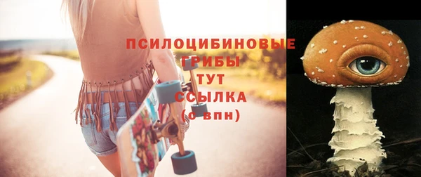 тгк Алексин