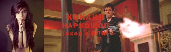 тгк Алексин
