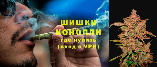 крисы Аркадак